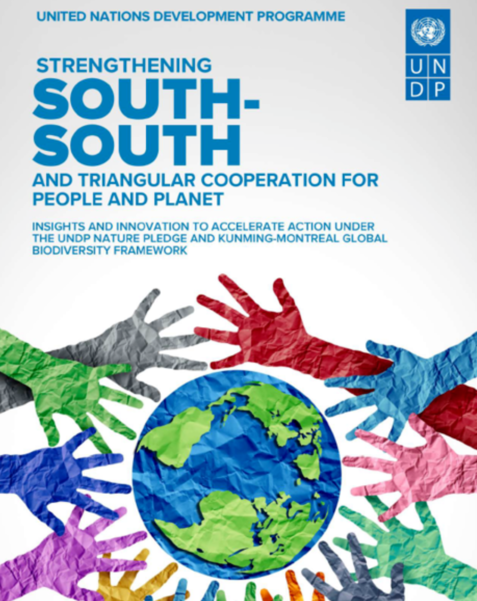 South-South and Triangular Cooperation (SSTC)