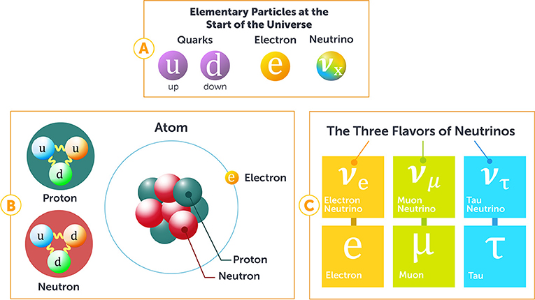 Neutrinos – Properties, Discovery, and Origins