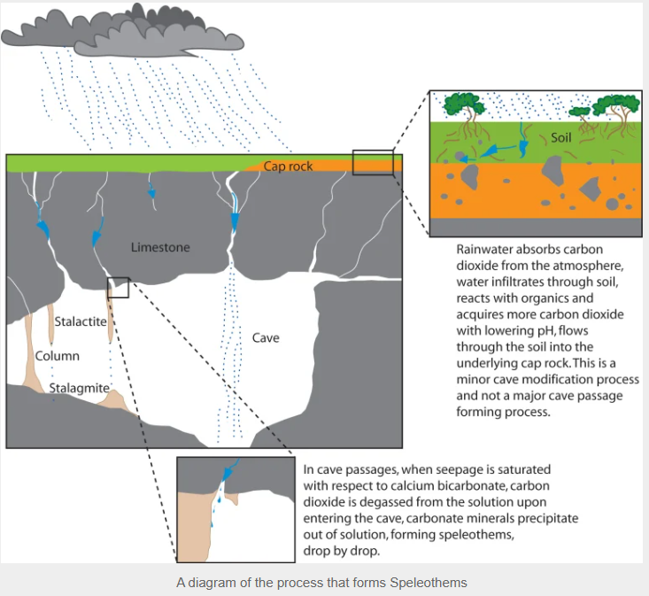 What are Speleothems?