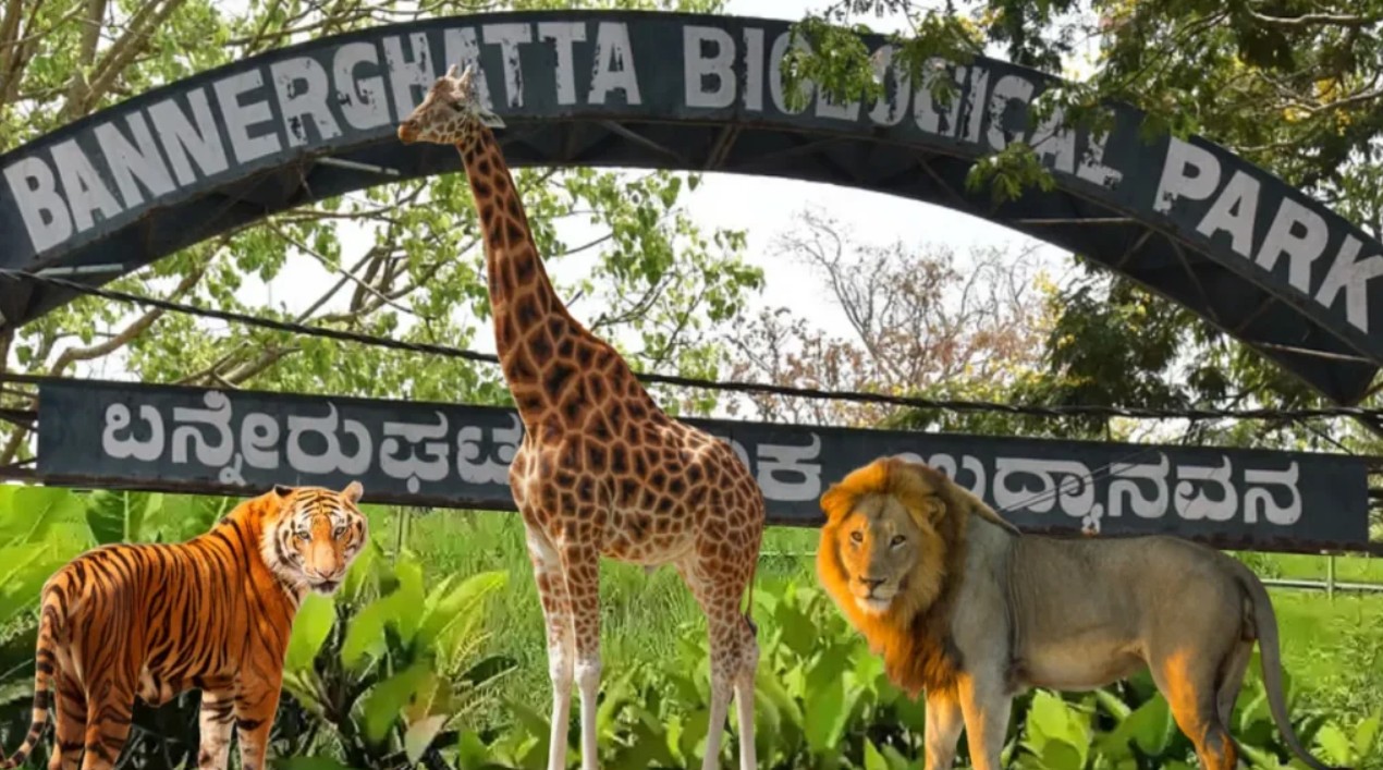 Bannerghatta National Park