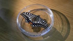 First Time in Space: Butterfly completes metamorphosis 400 km above Earth