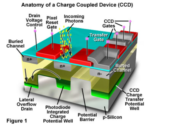Charge-Coupled Devices (CCDs) – Revolution in Digital Imaging