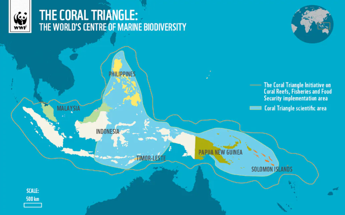 Philippines Coral Larvae Cryobank Initiative