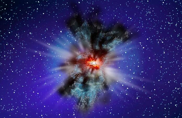 Dark Stars: Discovery and Significance