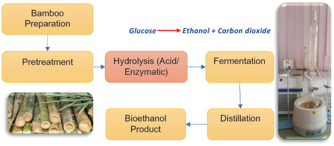 India’s First Bamboo-based Ethanol Plant
