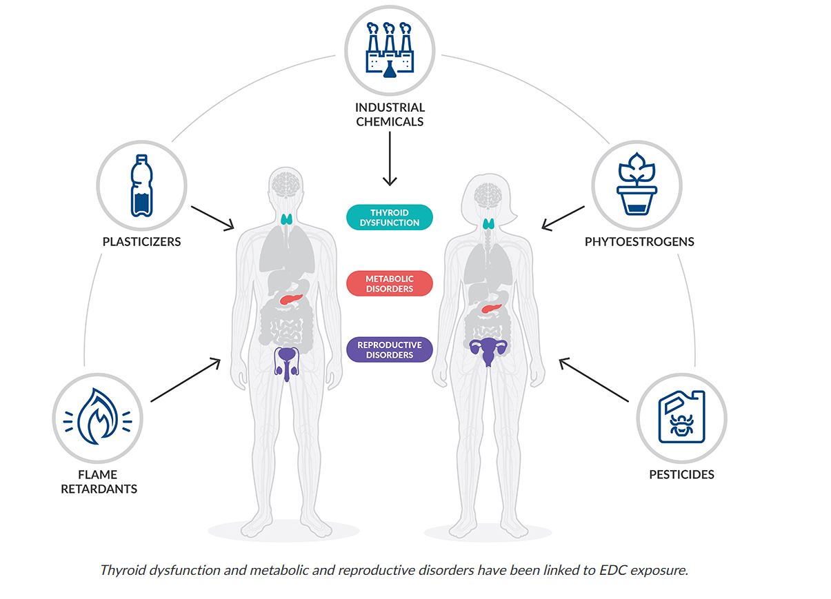 Endocrine Disruptors in Plastic Waste – A New Public Health Threat in India