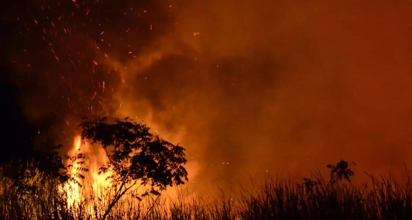 UNEA adopts India’s proposal on global wildfire management