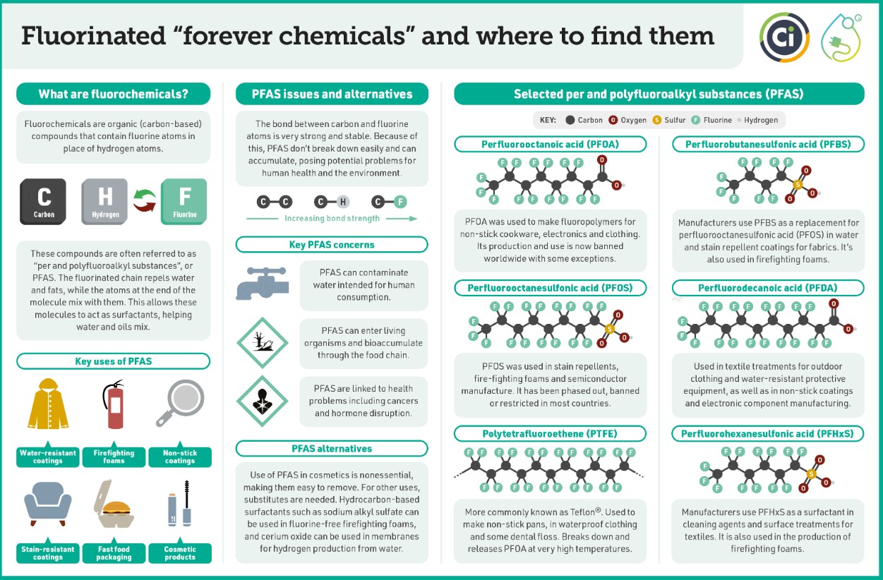 New-generation PFAS compounds in human blood