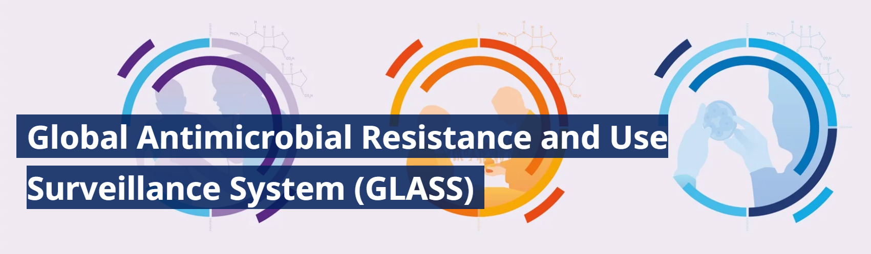 WHO GLASS 2025 and India’s Antimicrobial Resistance Crisis
