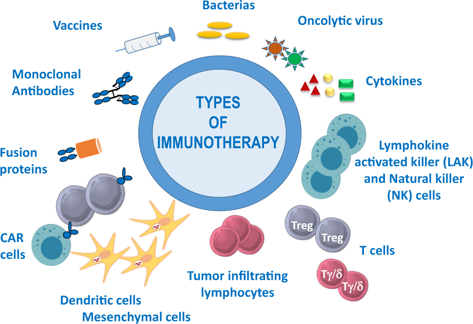 Immunology and the Future of Biomedicine