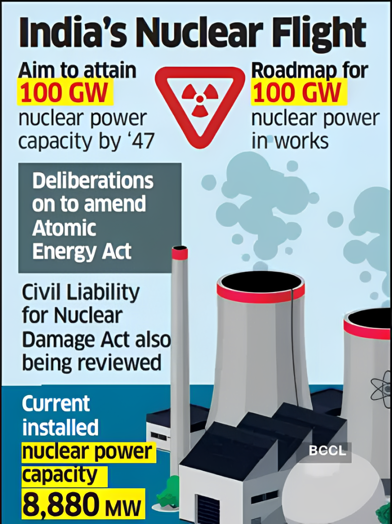 Nuclear Laws and the Role of Opposition