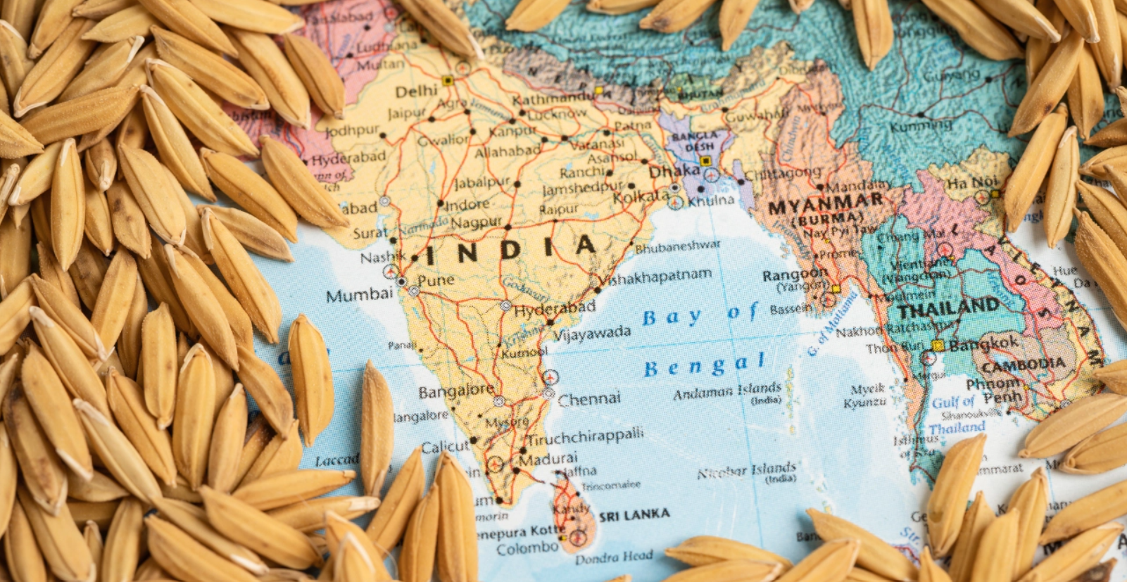 India’s rice exports in 2025