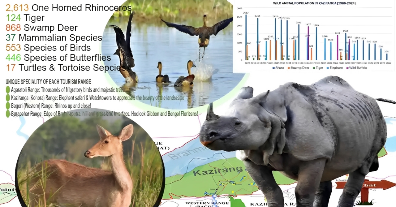 Kaziranga National Park & Tiger Reserve – Beyond the Rhino