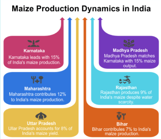 India’s Maize Yield, Ethanol Blending, and Import Dependence