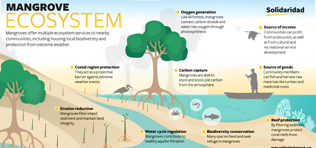 The Scientist Who Made ‘Mangroves’ a Buzzword – M.S. Swaminathan’s Contributions
