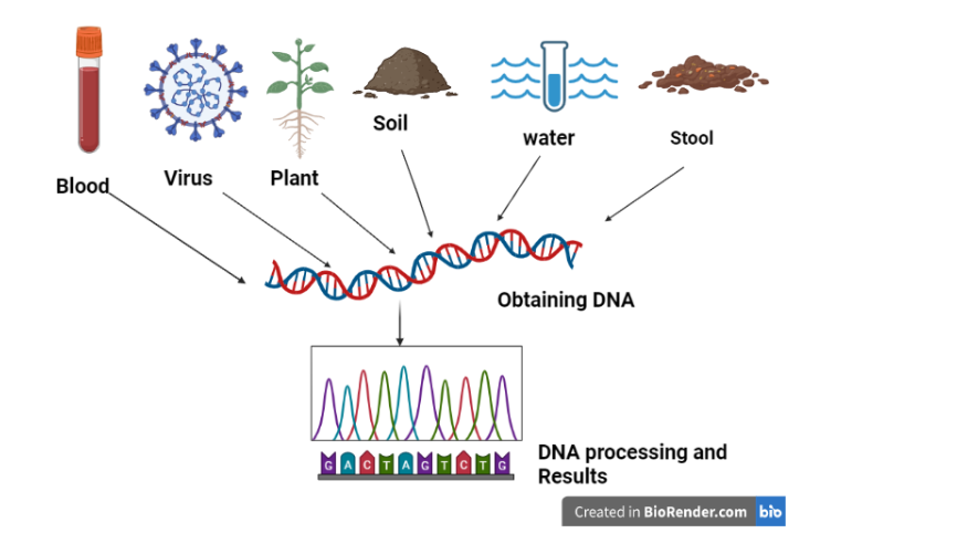 Metagenomics