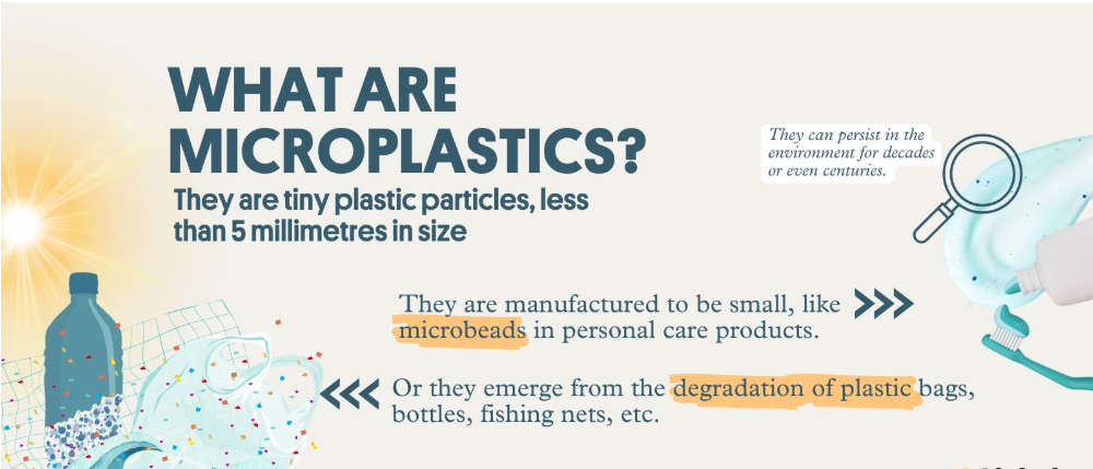 Microplastics in the Human Brain – Scientific Concerns and Global Policy Response