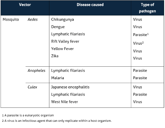 Waning Immunity Against Japanese Encephalitis Worsens Dengue