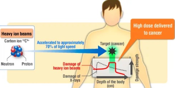 Heavier ions improve multi-ion cancer therapy