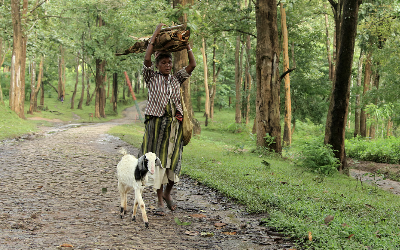 Forest Rights Act, 2006 implementation issue in Odisha