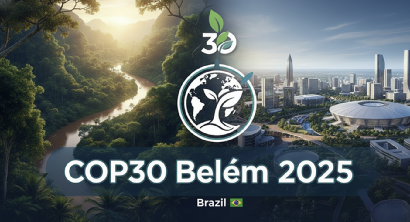 Belém summit and the new model of forest finance