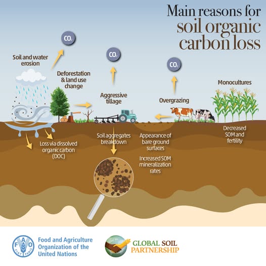Degradation of Soil Organic Carbon in India: ICAR Study (2025)