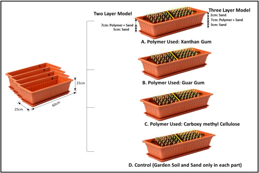 Wheat Cultivation in Desert Using Soilification Technology