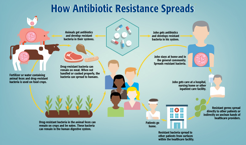 National Action Plan on Antimicrobial Resistance (NAP-AMR 2.0) (2025-29)
