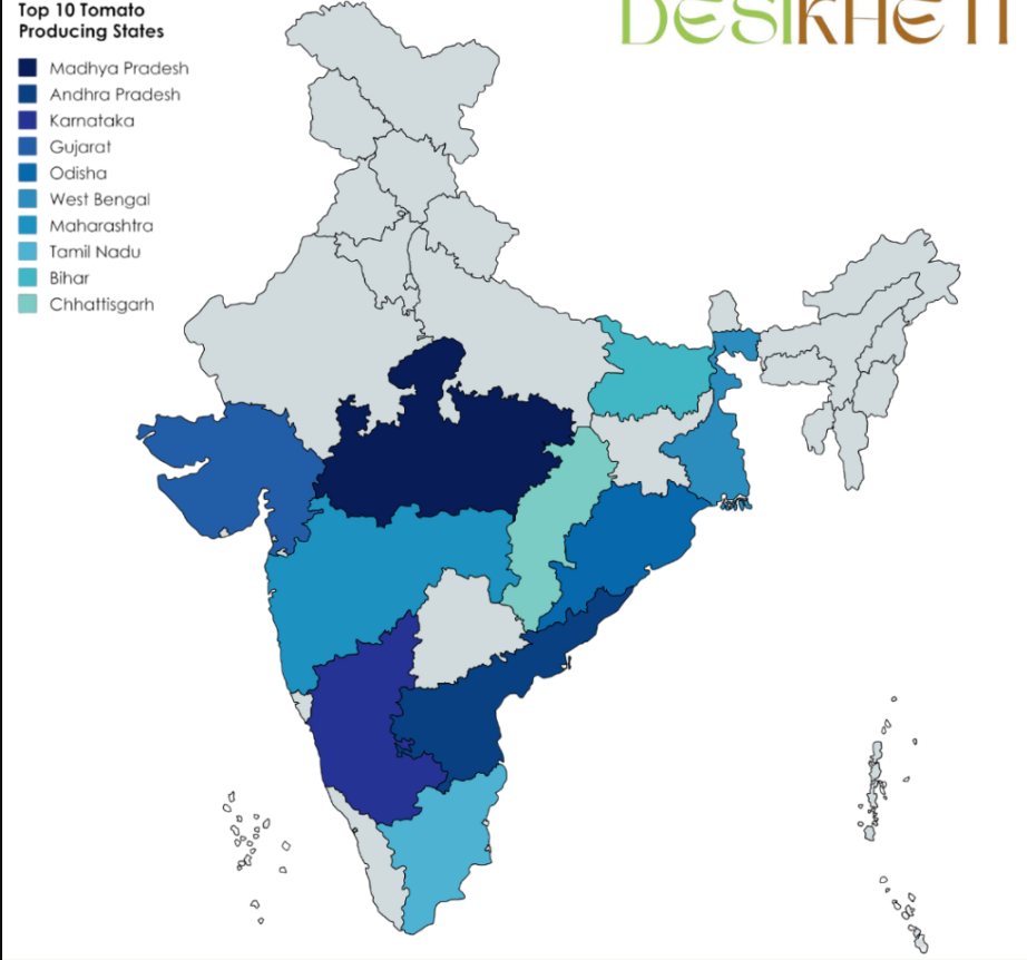 Tomatoes: From Foreign Fruit to Nutritional Powerhouse