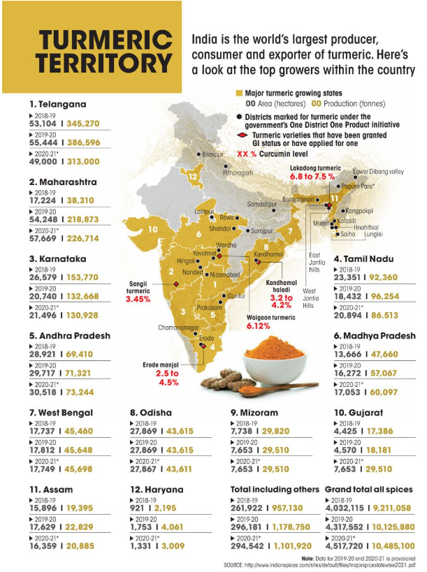 Turmeric (Curcuma longa) – Production, Uses, and Status