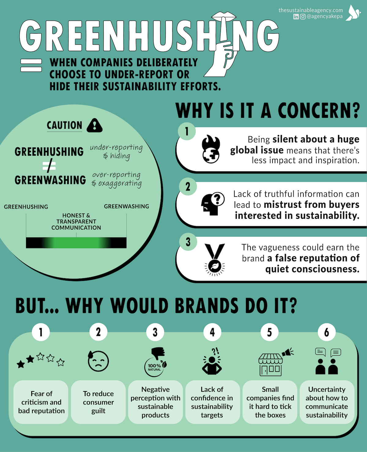 Green Hushing: Concept and Significance