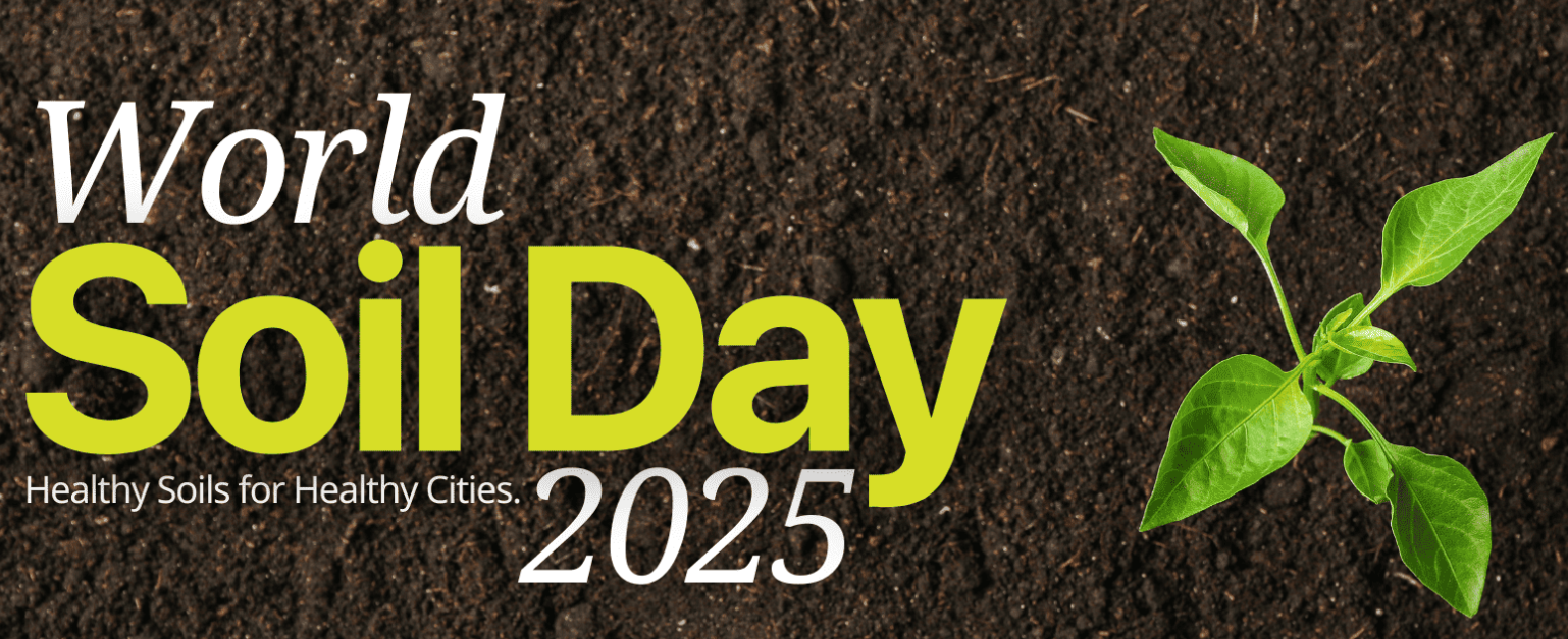 World Soil Day 2025: Grassland soils, not trees, anchor India’s climate resilience